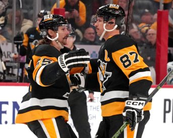 article image - Uncertain Penguins Hockey